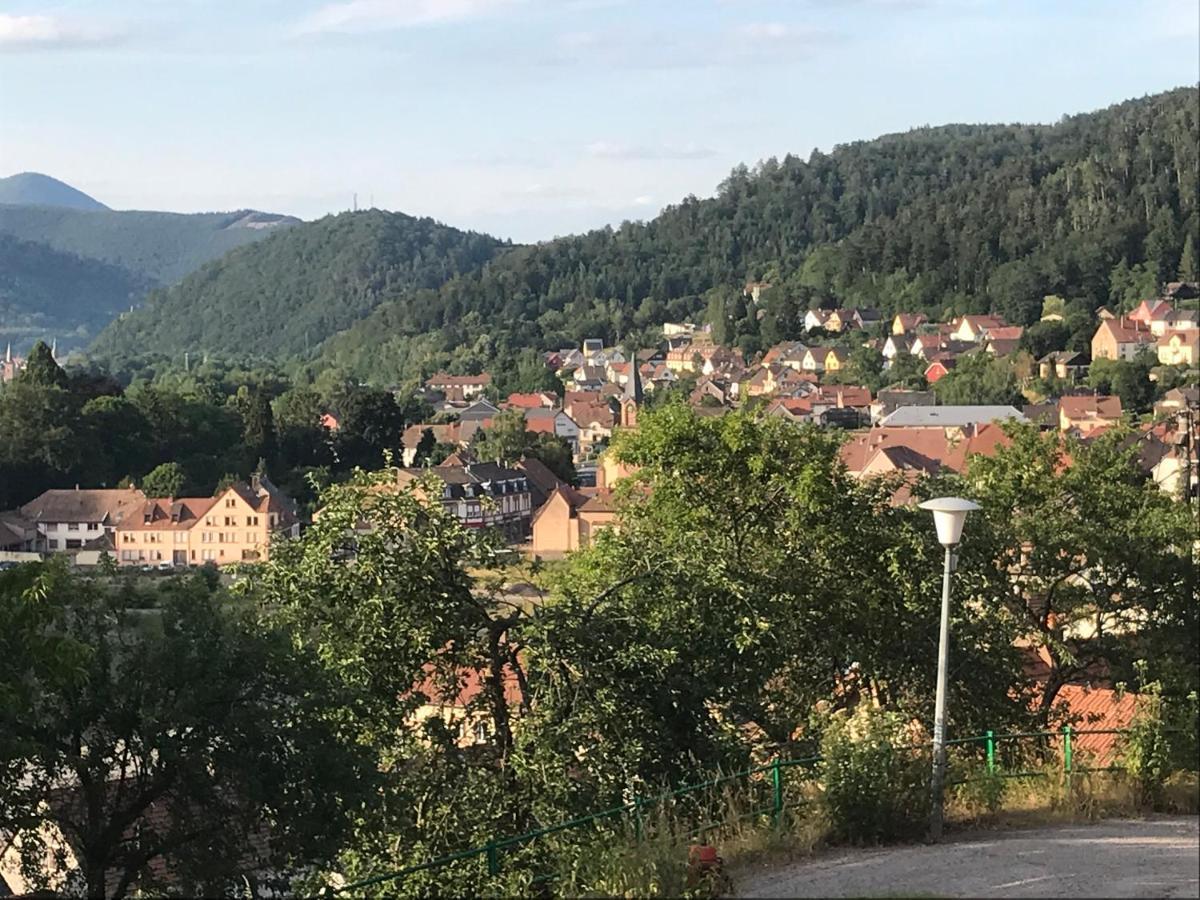 Ferienwohnung Chez Jose Rothau Exterior foto
